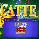 Cách Chơi Bài Catte W188 - Chiến Thuật Giữ Bài Thông Minh