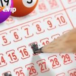 Xổ Số Miền Nam W188 - Những Biến Chuyển Thú Vị Của Con Số